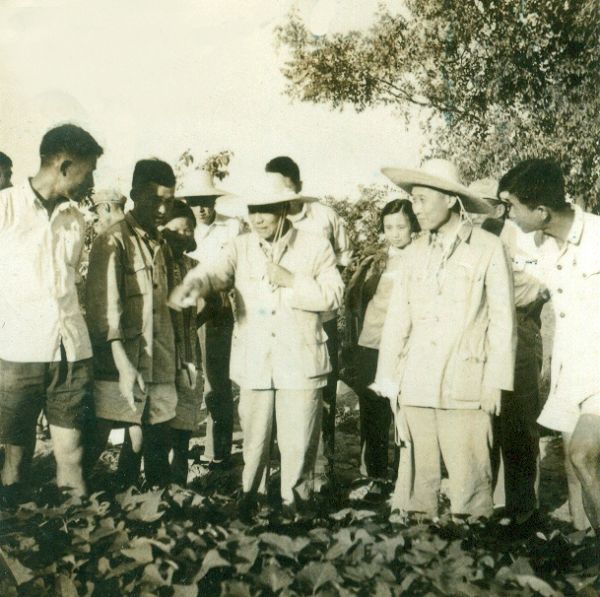 南京農(nóng)業(yè)大學(xué)實力強嗎?為了211去南農(nóng)值得嗎?排名第幾?學(xué)費多