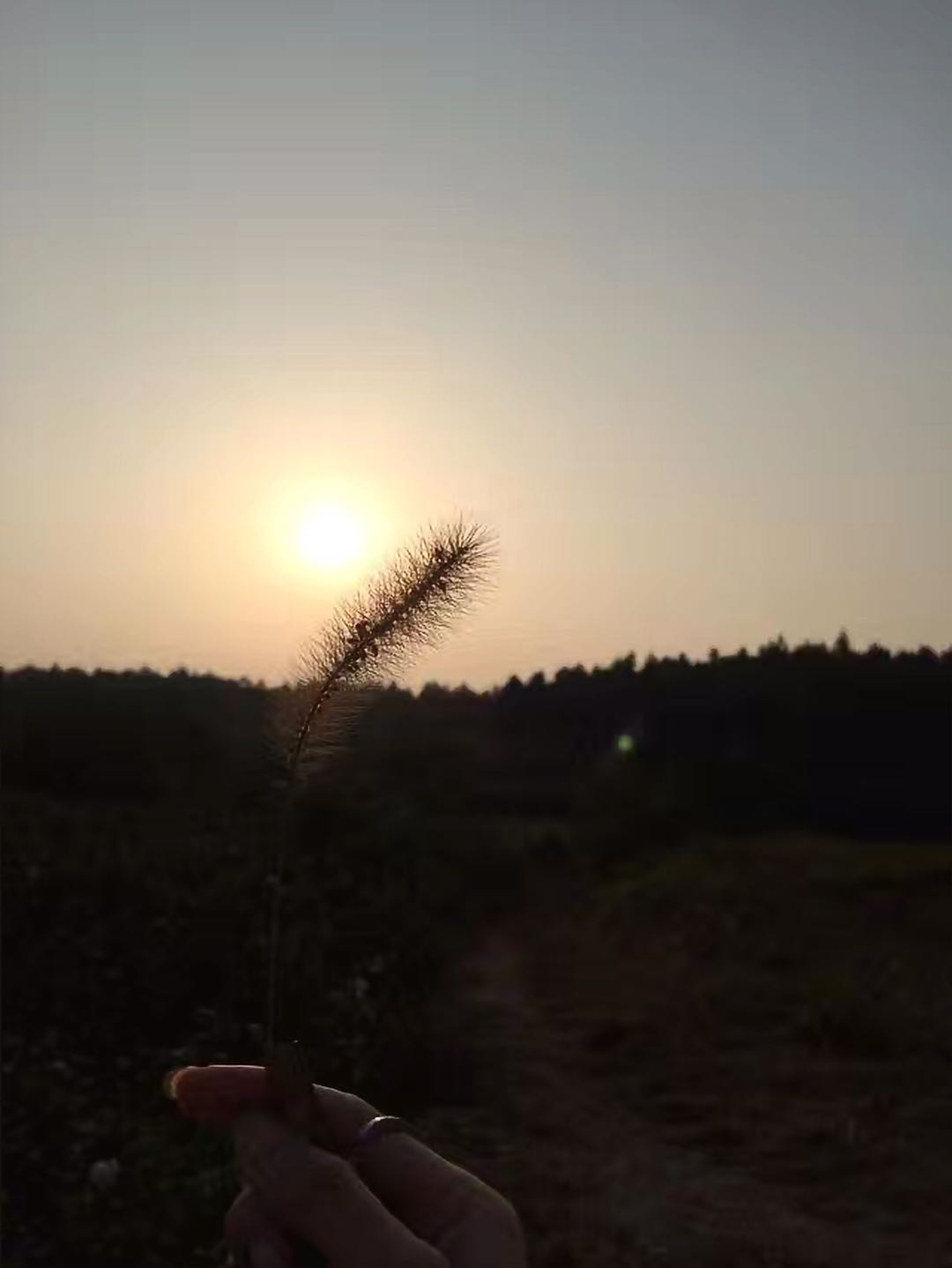 學區房政策會取消嗎?學區房作用是什么?在外地沒有購房能不能上學