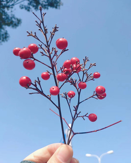 中國船級(jí)社是國企嗎?好不好進(jìn)?公司待遇怎么樣?