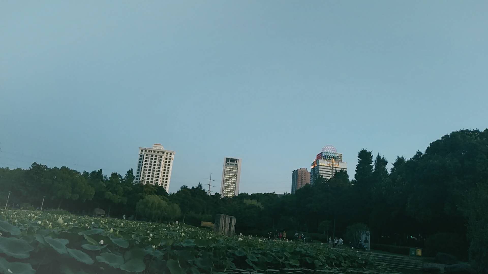 教師資格證幾年審核一次?需要什么材料?審核不合格怎么辦?