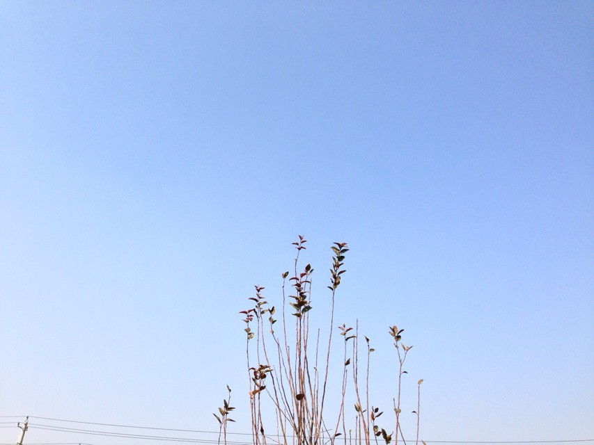 司法考試科目一共有幾門哪門最難考?司法考試時間及報考條件介紹?