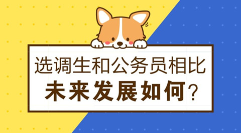 大學生選調生報考條件有哪些?選調生發展前景如何和省考哪個好?