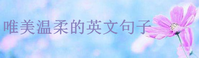 20ΨСµӢĶ̾伯\СsܜӢľ