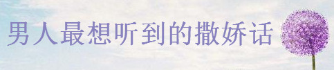 Pc20 Ԓ{Ƥı_