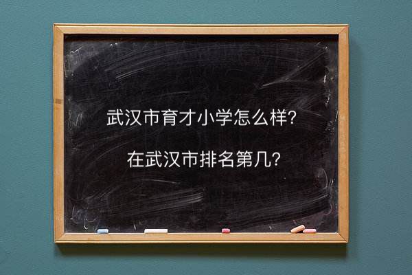 武漢市育才小學(xué)怎么樣在武漢排名第幾?難進(jìn)嗎對(duì)口的中學(xué)是哪一所