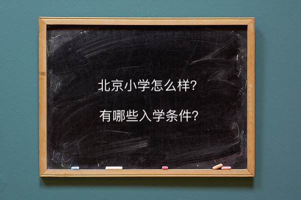 北京小學(xué)怎么樣入學(xué)條件有哪些?在北京市排名第幾學(xué)費一年多少錢