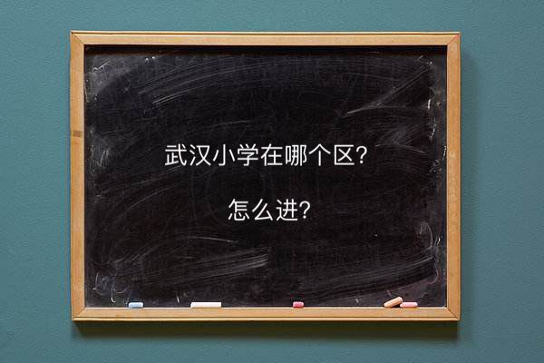 武漢小學在哪個區怎么進?在武漢市排名第幾2020武漢小學對口小區