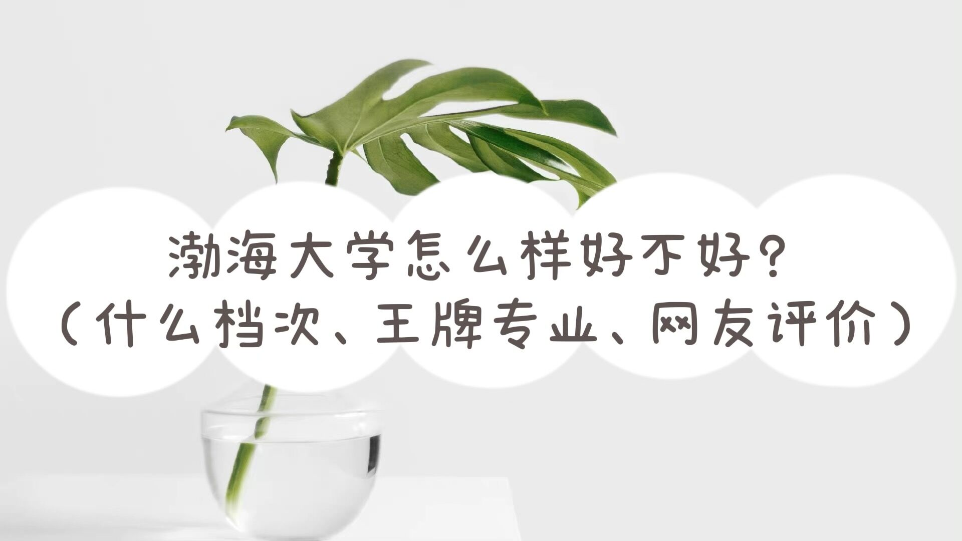 W(xu)ôӺòãʲônΡƌI(y)W(wng)ur
